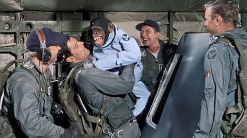 Mondgeflüster Bild 6