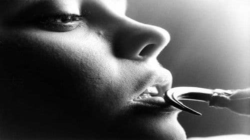 Little Red Riding Hood Bild 1