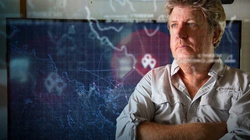 Hai-Alarm im Paradies Bild 6