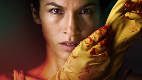 The Cleaning Lady Bild 6