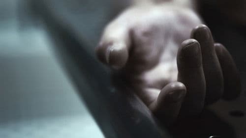 The Dead Center Bild 8