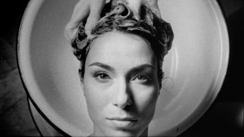 Cold Meridian Bild 1