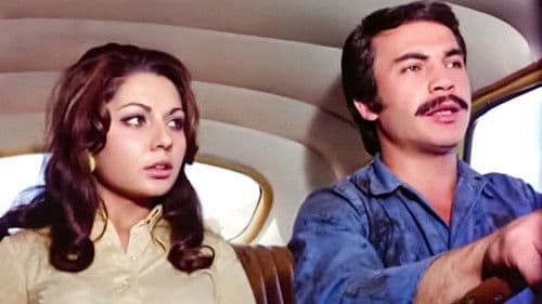 Bir Teselli Ver Bild 2