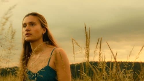 Irgendwann werden wir uns alles erzählen Bild 1