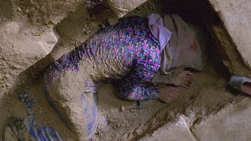 خانه پدری Bild 1