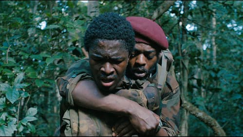 La Miséricorde de la jungle Bild 1