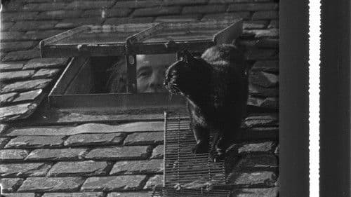 This Is My Land Bild 1