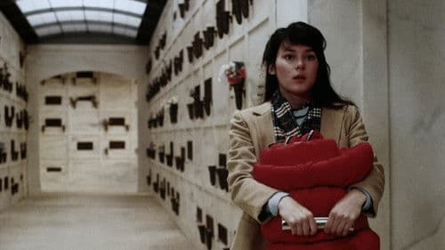 Sie greifen nach den Lebenden Bild 3