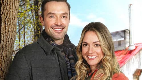 Sweet as Maple Syrup Bild 3