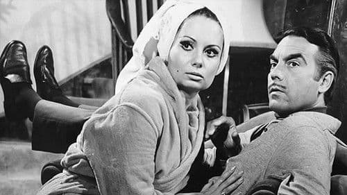 Ayşecik Yuvanın Bekçileri Bild 3