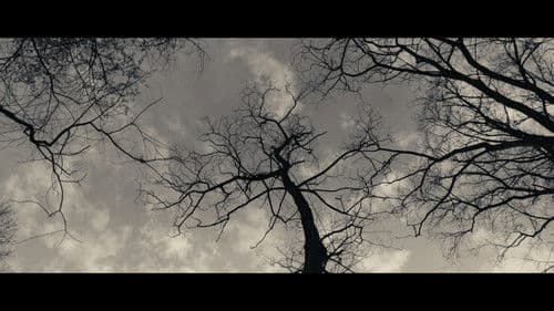 Qualunque uomo Bild 4