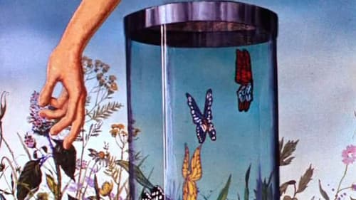 Бабочка Bild 1