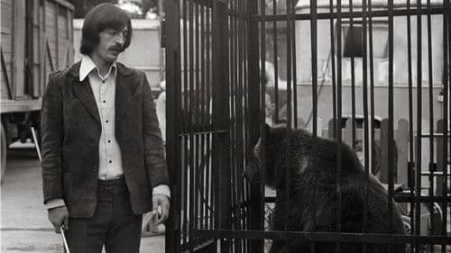 Дикий Гаврила Bild 2