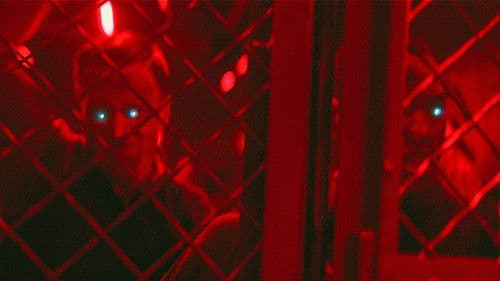 Mother/Android Bild 8