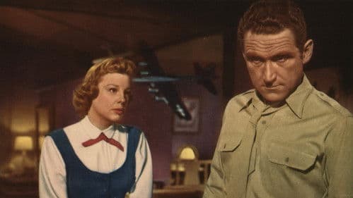 Wolkenstürmer Bild 3