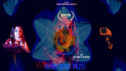 Narcisse bleu Bild 1