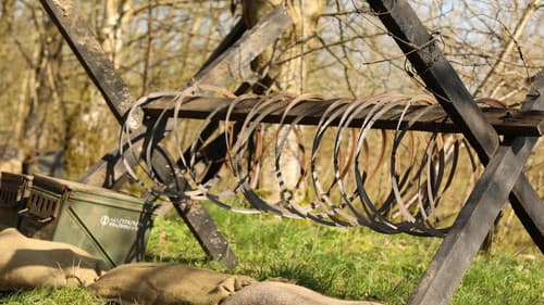 Night Shadows Bild 3