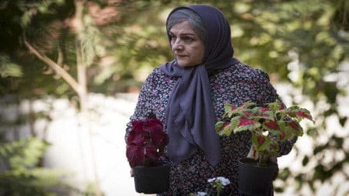 دوباره زندگی Bild 1