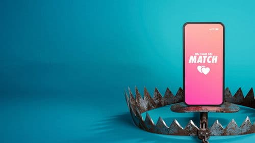 Den Svenska Tinderbedragaren Bild 1