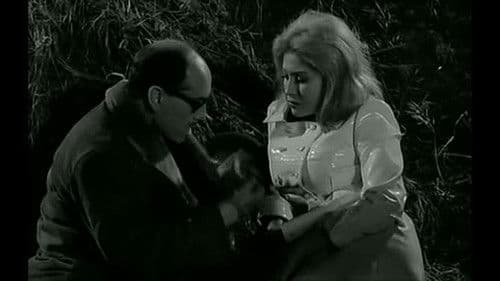 Operación Secretaria Bild 1