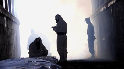 フリージア Bild 1