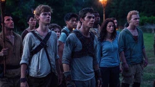 Maze Runner - Die Auserwählten im Labyrinth Bild 6