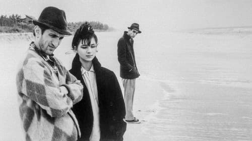 Stranger Than Paradise Bild 4