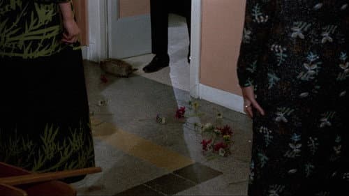 Das Grauen kommt nachts Bild 6