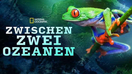 Zwischen Zwei Ozeanen Bild 6