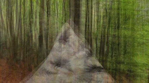 Nett av bortkomne inntrykk Bild 1