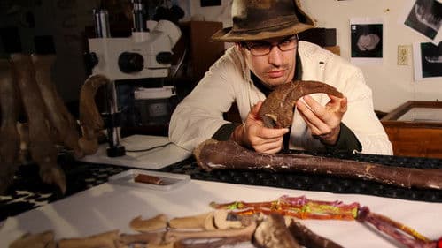 Dino-Duell: Kampf der Giganten Bild 3