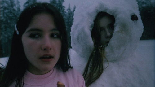 Die Wolfsbaude Bild 4