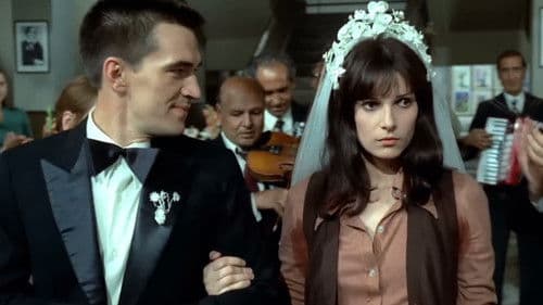 Ilustrate cu flori de câmp Bild 8