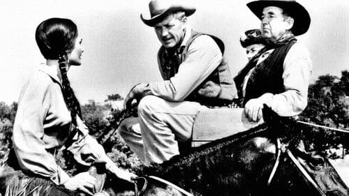 Einer gibt nicht auf Bild 2