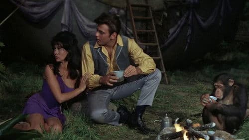 Fünf Wochen im Ballon Bild 8