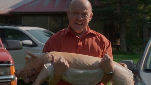 Le chant du coq Bild 8