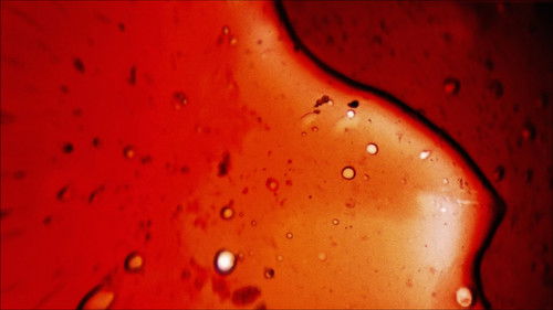 She Dies Tomorrow Bild 5