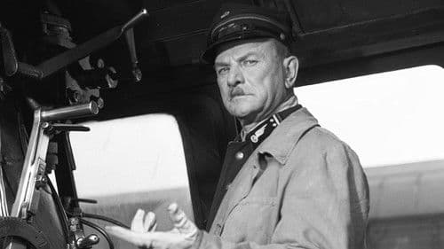 Der Mann auf den Schienen Bild 3