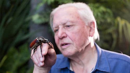 Micro Monsters with David Attenborough Bild 7