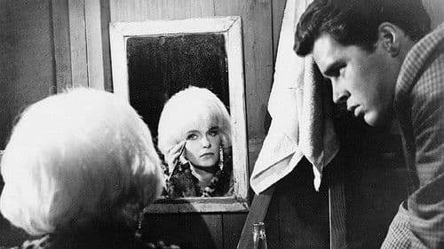 Die verlorene Rose Bild 3