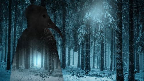 The Curse of Rosalie Bild 3