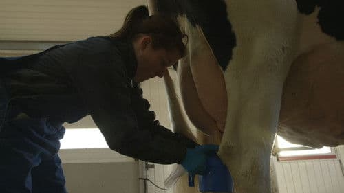 Le plancher des vaches Bild 3