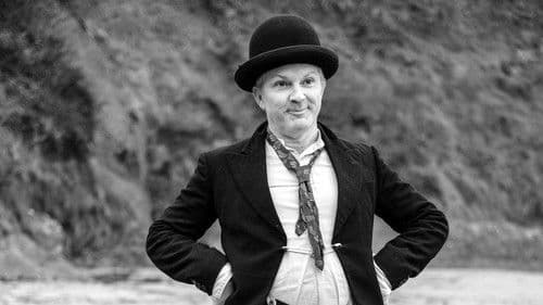 Stupid August Bild 1