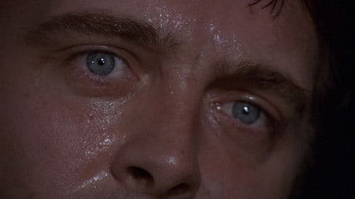 Schatten der Angst Bild 2