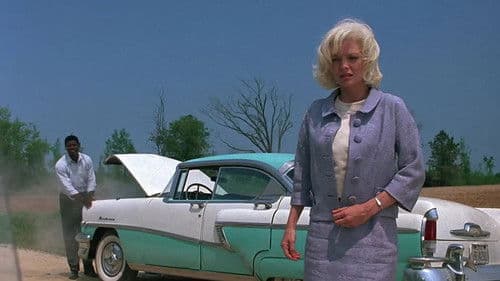 Love Field - Feld der Liebe Bild 7