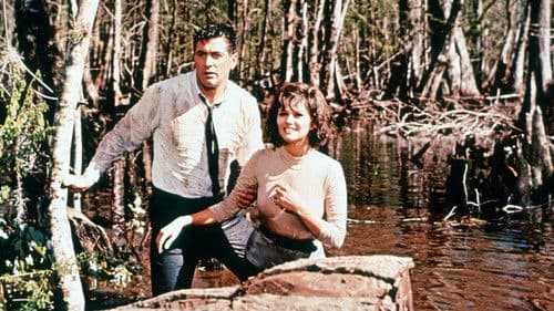 New York Express Bild 5