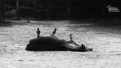 একটি একঘেয়ে ফিল্ম Bild 1