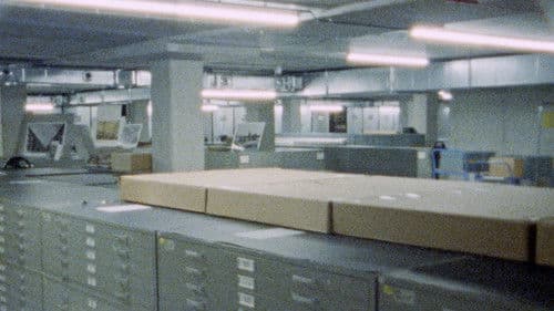 Seen From Here, I Feel Like Belonging Bild 1