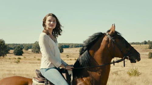 Immenhof - Das Abenteuer eines Sommers Bild 4