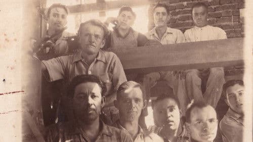 INTERVENÇÕES E INTERFERÊNCIAS Bild 4